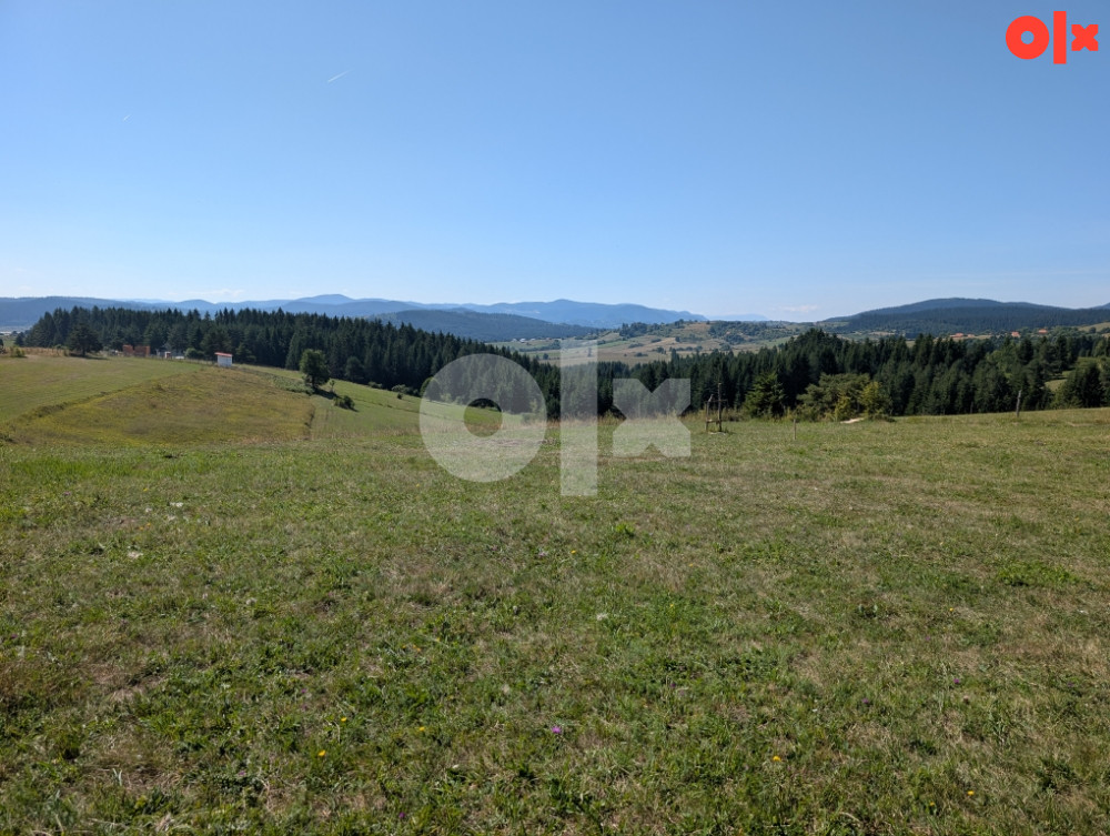 Nisicka visoravan (Nišići) - Zemljiste/Plac za vikendice 1000 m2 3