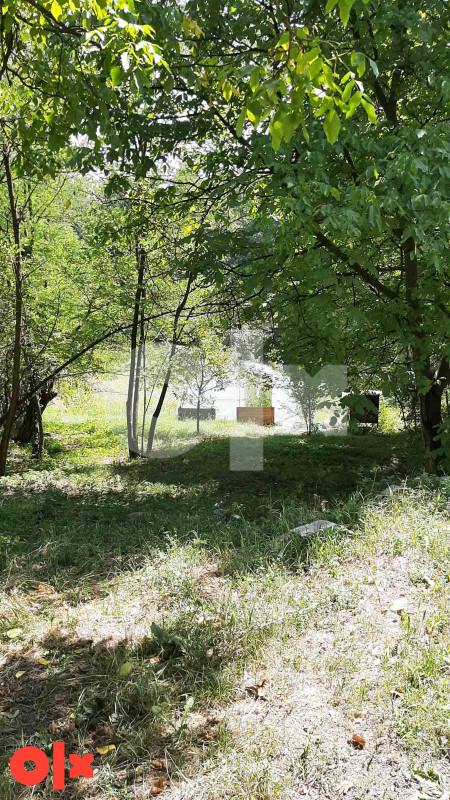 Zemljište Šahmeri 5500 m² - Vista 2