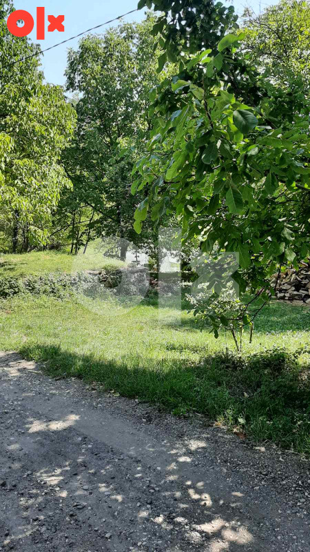 Zemljište Šahmeri 5500 m² - Vista 3