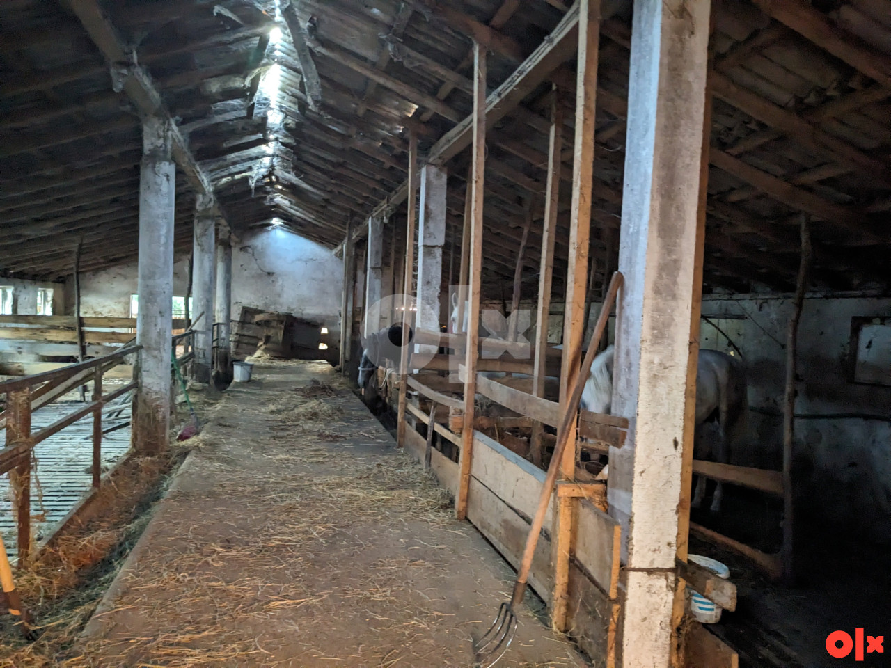 Zemljište Bajinci, Srbac 3