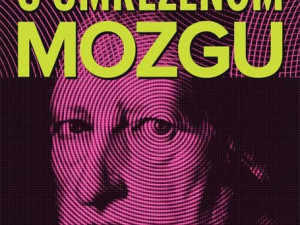 Hegel u umreženom mozgu, pisac: Slavoj Žižek