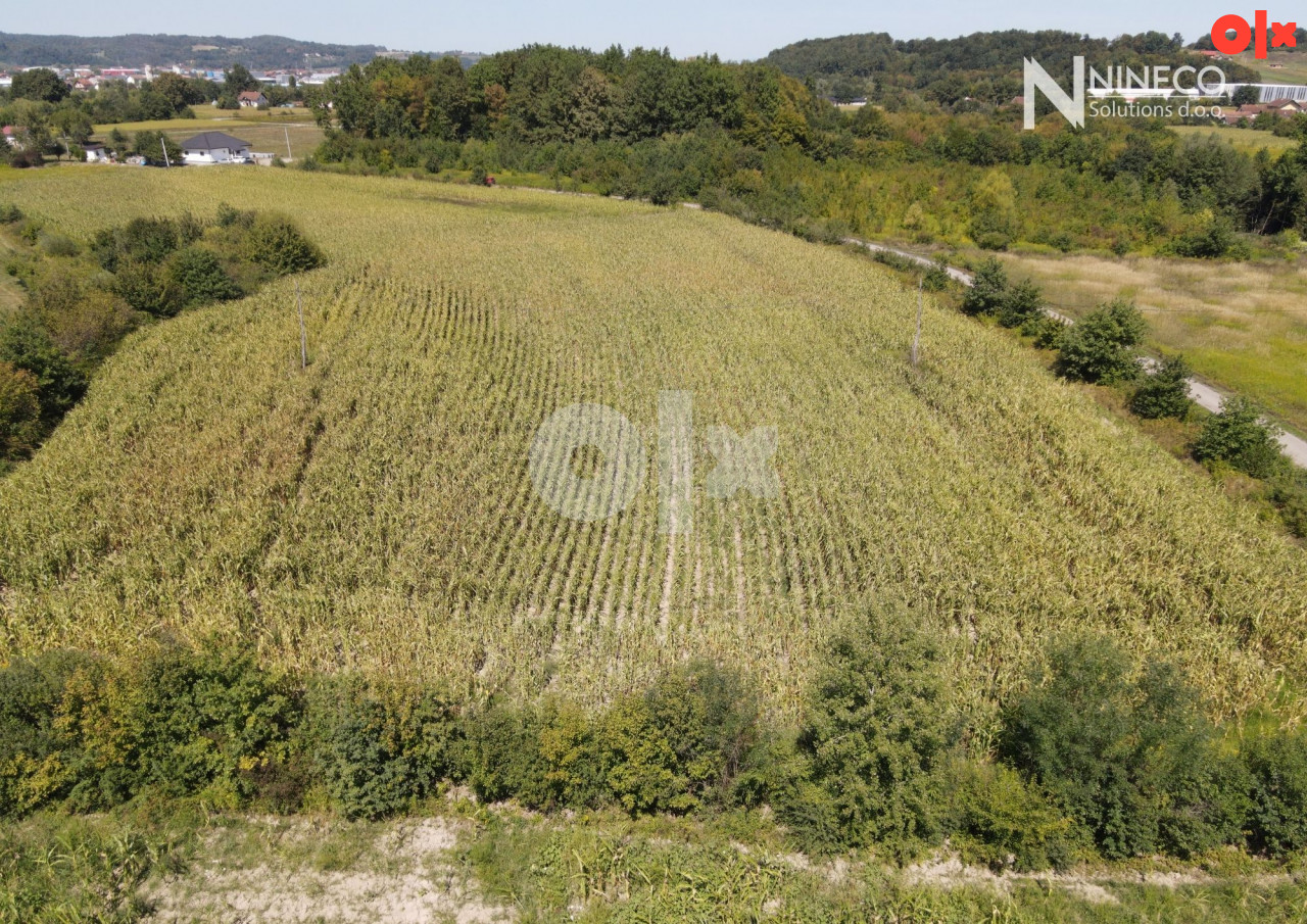 ZEMLJIŠTE - DOVIĆI - 9.603 m2 (Opština Laktaši) 4