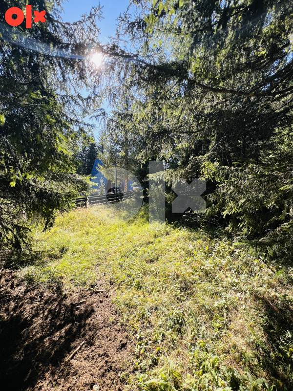 Zemljište Velika Dvorišta, Jahorina 821m2 3