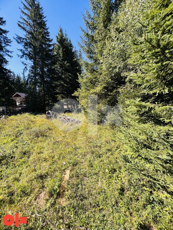 Zemljište Velika Dvorišta, Jahorina 821m2 2