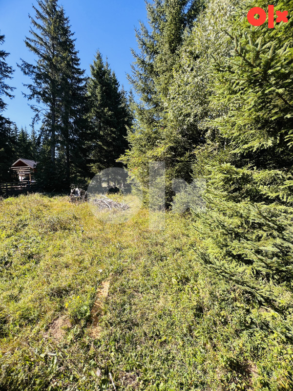 Zemljište Velika Dvorišta, Jahorina 821m2 6