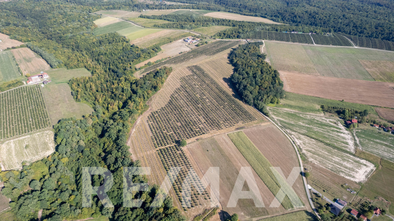 Profitabilna plantaža lješnjaka,12 hektara-prodaja poslovanja 2