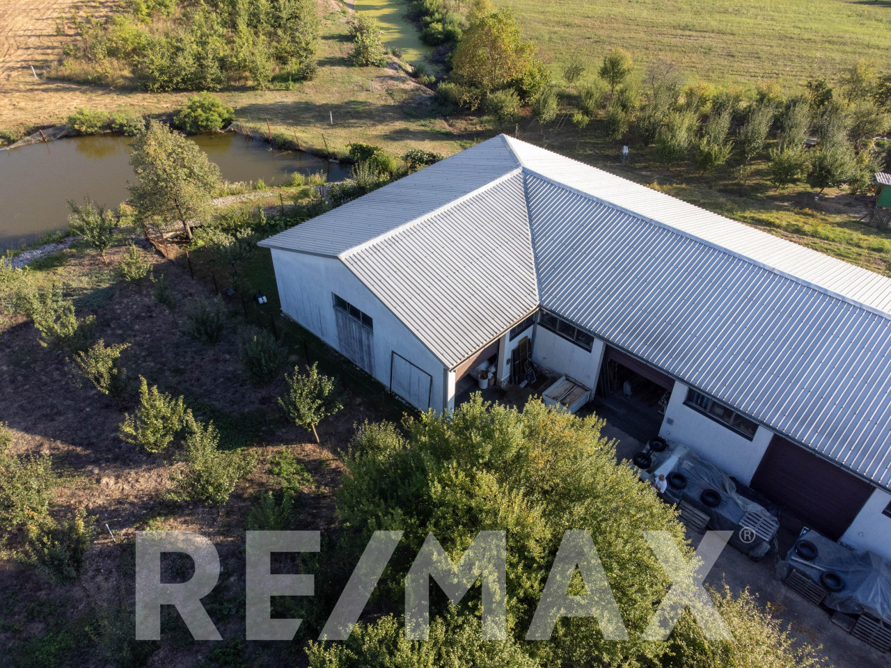 Profitabilna plantaža lješnjaka,12 hektara-prodaja poslovanja 10