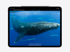 Apple 11-inch iPad Pro (M4) Cellular 256GB - Silver