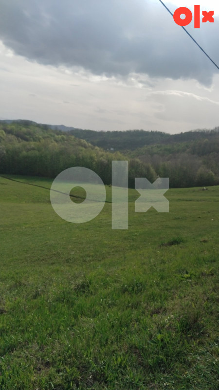 Na prodaju zemljište od 12240m2 i šuma od 13500m2 Pozarnica-Tuzla