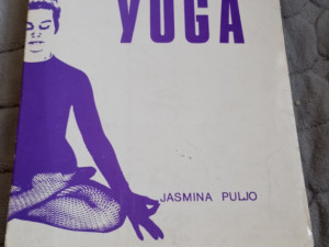 Knjiga Yoga