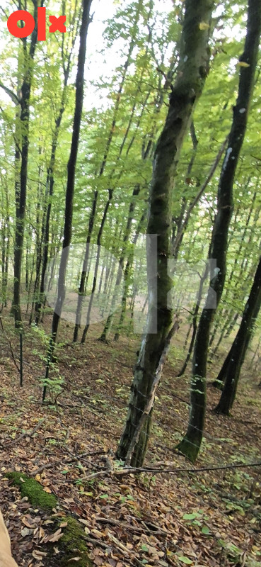 Vikendica Banja Luka 48m2 + terasa i 1100 park šume 14