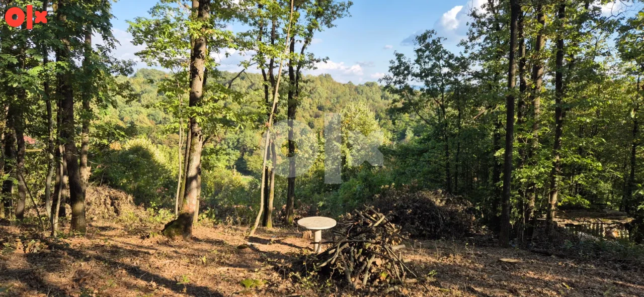 Vikendica Banja Luka 48m2 + terasa i 1100 park šume 5
