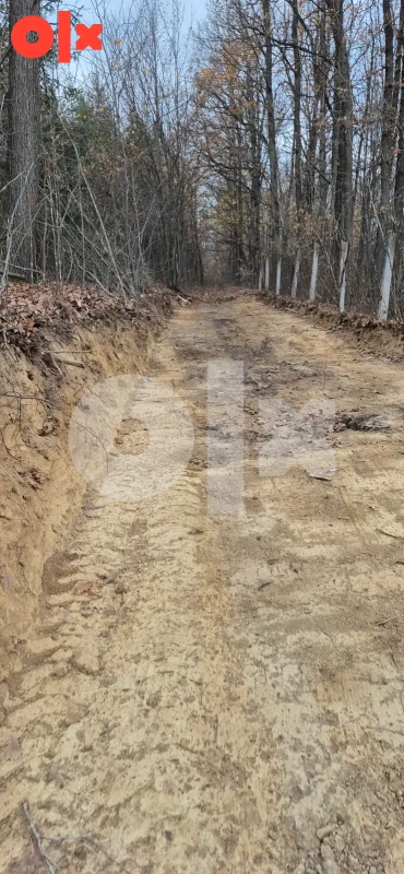 Vikendica sa 2 spavace sobe +terasa sa 1100 m2 park šume 2