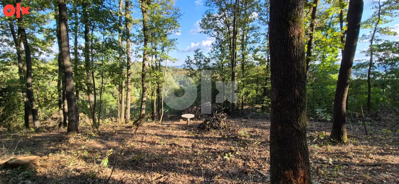 Vikendica sa 2 spavace sobe +terasa sa 1100 m2 park šume 4