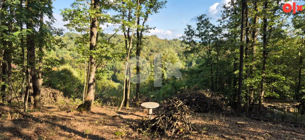 Vikendica sa 2 spavace sobe +terasa sa 1100 m2 park šume 5