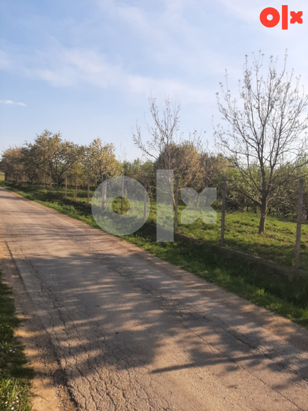 Zemljiste ,Babica brdo (Slatina) 3