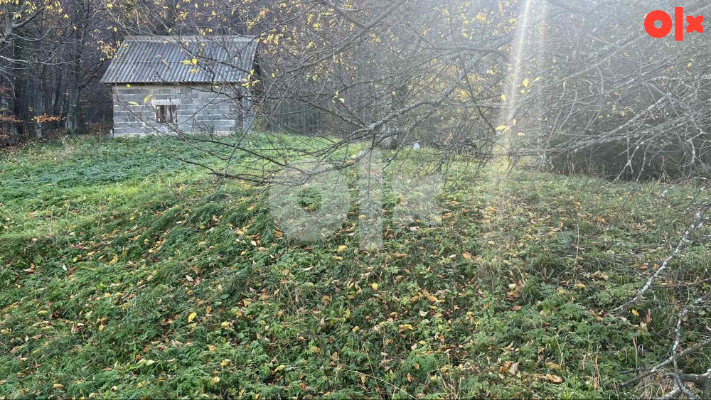 Zemljište Vlasenica-Tugovo 16000m2 13