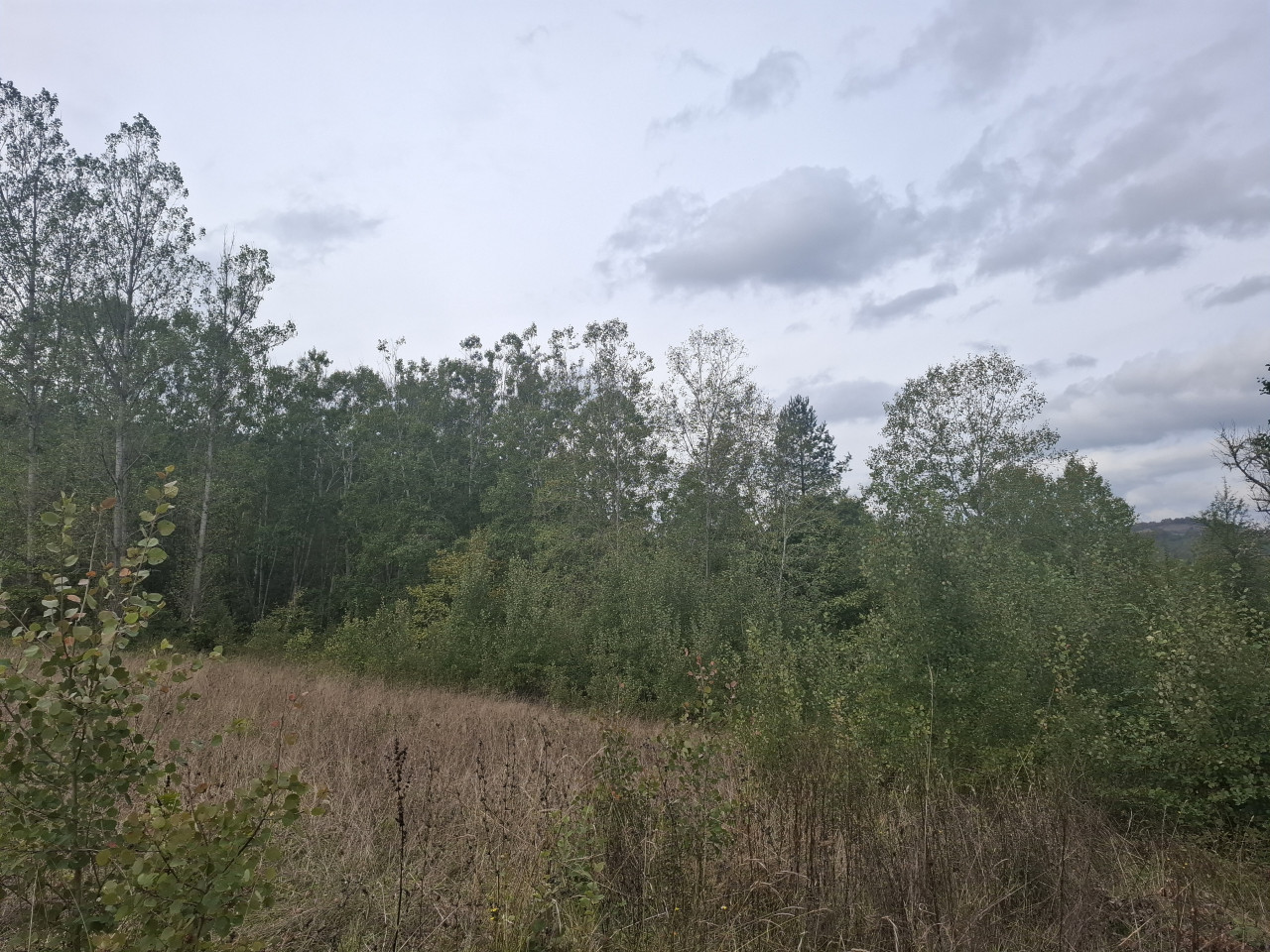EOS / Zemljište / Rogatica / 17.600 m2 4