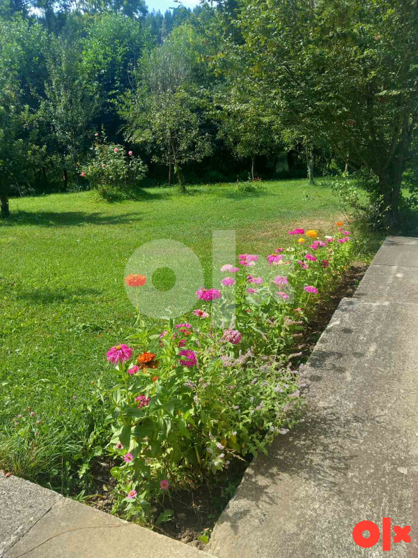 Kuća Olovo  Križevići Krivaja 13