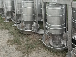 Oprema za svinje, prasilišta, čekalista, hranilice,korita