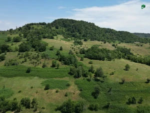 Zemljište Drozgometva Hadžići Sarajevo