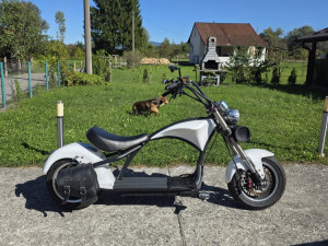 Električni motocikl skuter Mangosteen M1