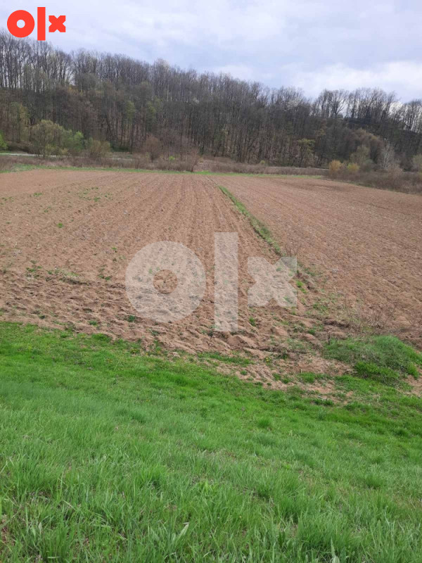 Zemljište plac Srbac 12312m2 2
