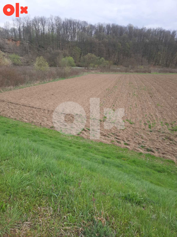 Zemljište plac Srbac 12312m2 3