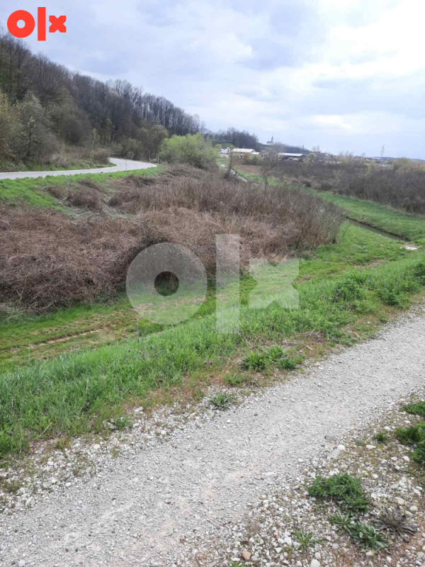 Zemljište plac Srbac 12312m2 4