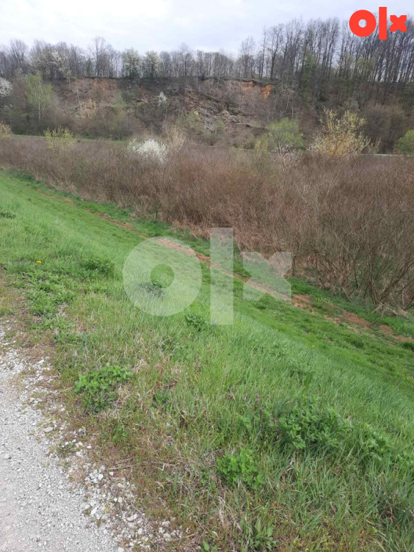 Zemljište plac Srbac 12312m2 5