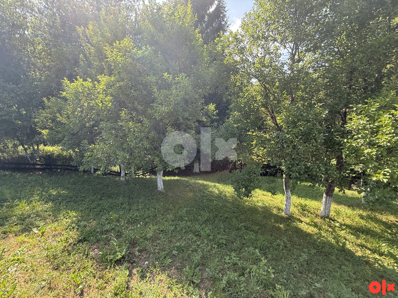 Zemljište Trnovo Brutusi "Ekskluzivno" 600m2! 3