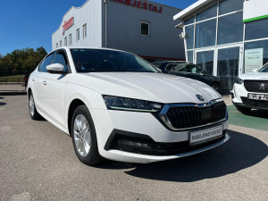 Škoda Octavia 2,0 TDI