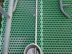 Oprema za svinje, pojilice, prasilišta, čekališta