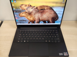 Razer Blade 14; Ryzen 9 6900HX; 16GB; 1TB; RTX 3070 TI; 2K 165Hz
