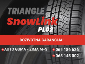 255/40R20 TRIANGLE SNOWLINK-PL02 255 40 20