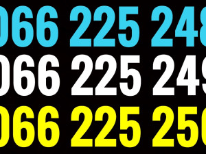Mtel broj ( tri broj ) 066 225 248, 225 249, 225 250