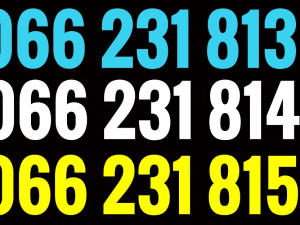 Mtel broj ( tri broja ) 066 231 813, 231 814, 231 815
