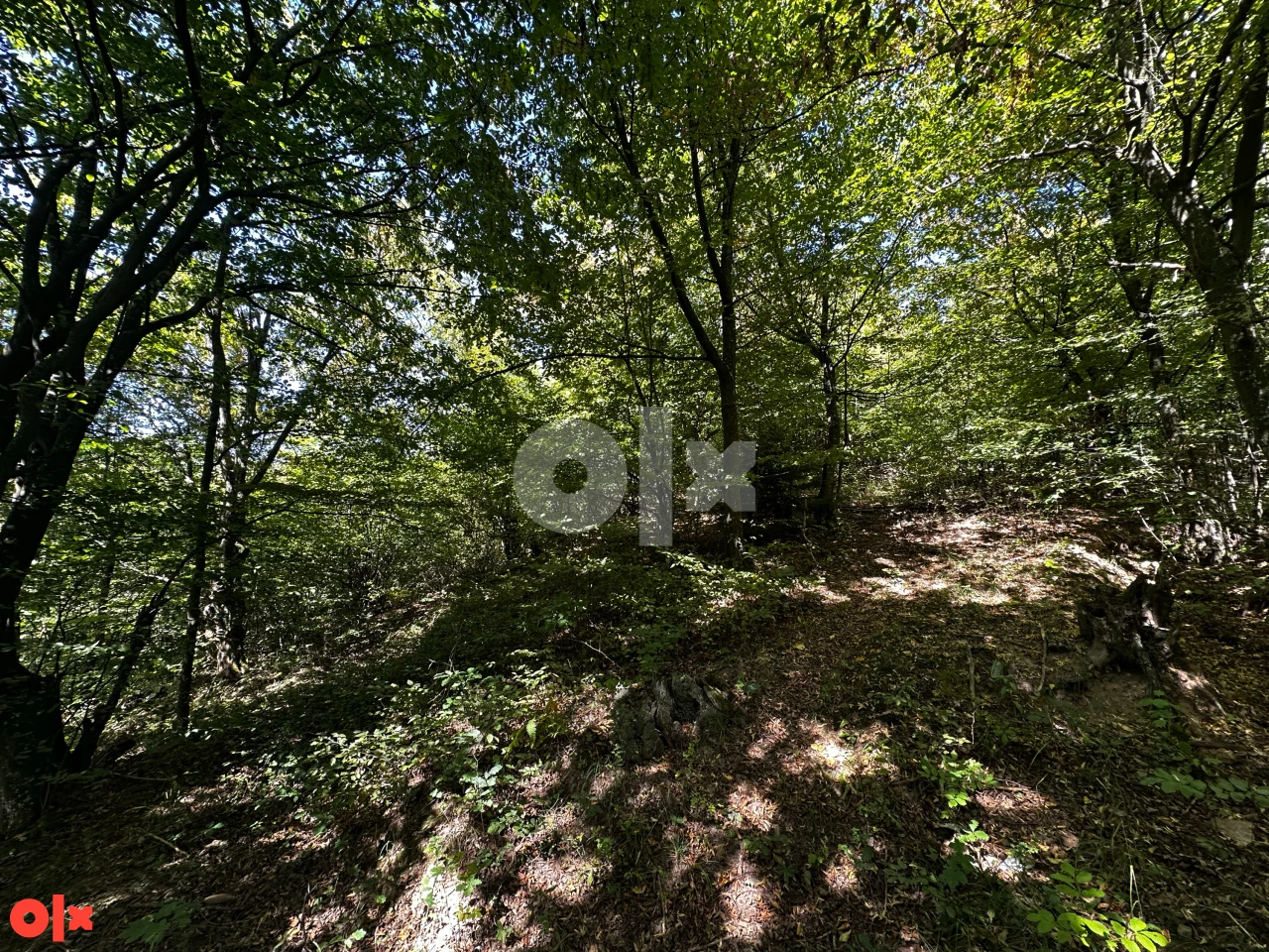 EKSKLUZIVNA PRODAJA Zemljište Trnovo-Bogatići - 849m2