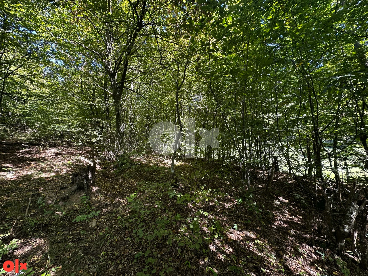 EKSKLUZIVNA PRODAJA Zemljište Trnovo-Bogatići - 849m2 2