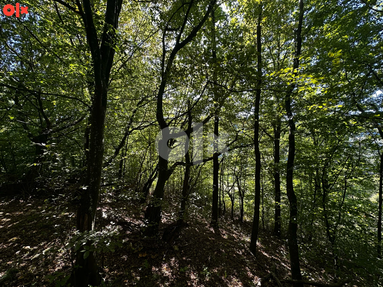 EKSKLUZIVNA PRODAJA Zemljište Trnovo-Bogatići - 849m2 3