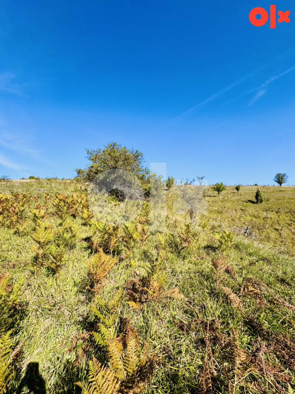 Zemljište 3,5 dunuma Ledići, Bjelašnica, Trnovo 11