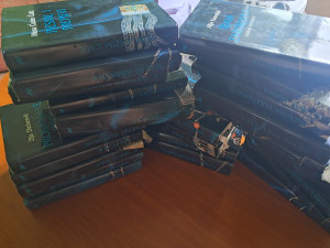 Muslimanska knjizevnost XX vijeka lot