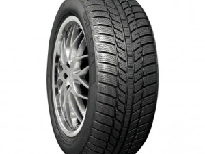 EVERGREEN - Guma zimska 205/55R16 91H
