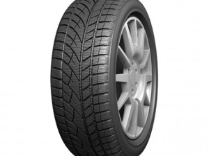 EVERGREEN - Guma zimska 225/45R17 91H