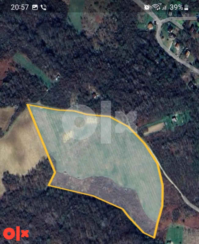 Plantaža lješnjaka Derventa, 49.500m2 2