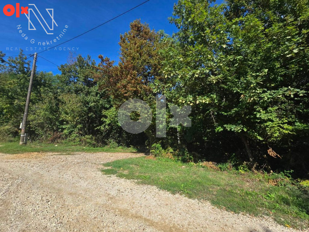 Priječani, prodaja placa od 3000m2 u prirodi