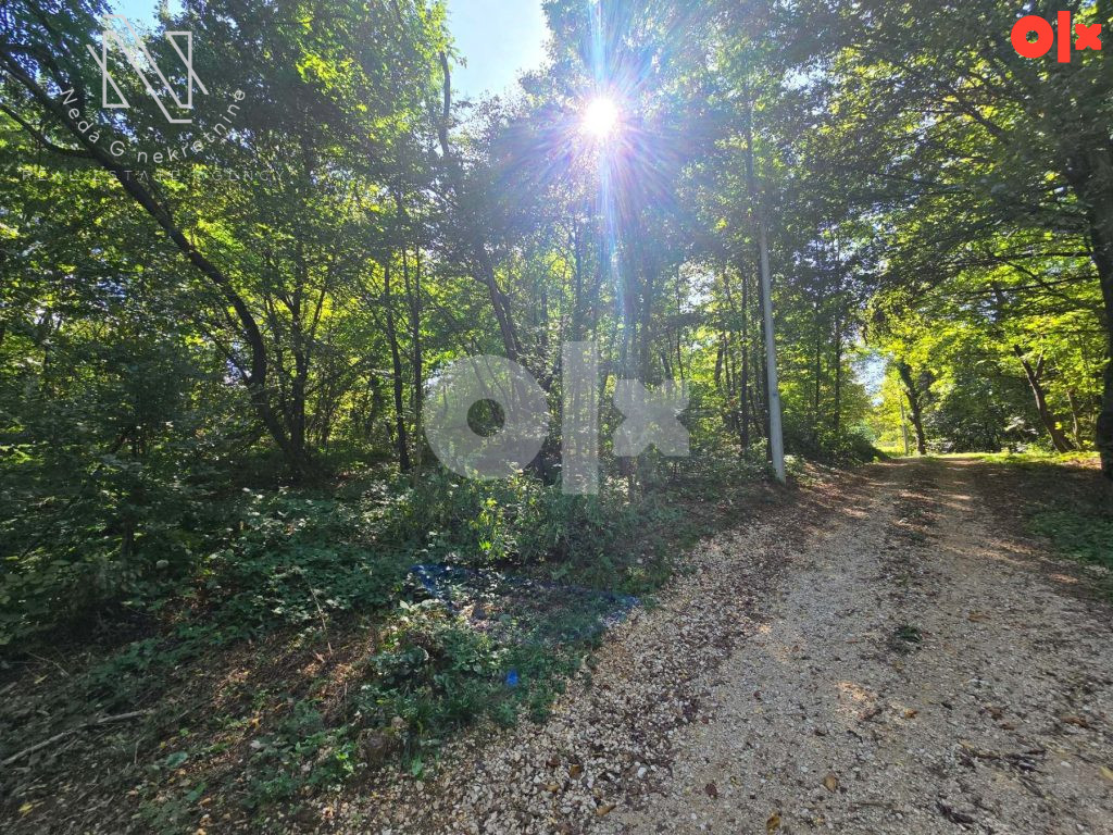 Priječani, prodaja placa od 3000m2 u prirodi 2