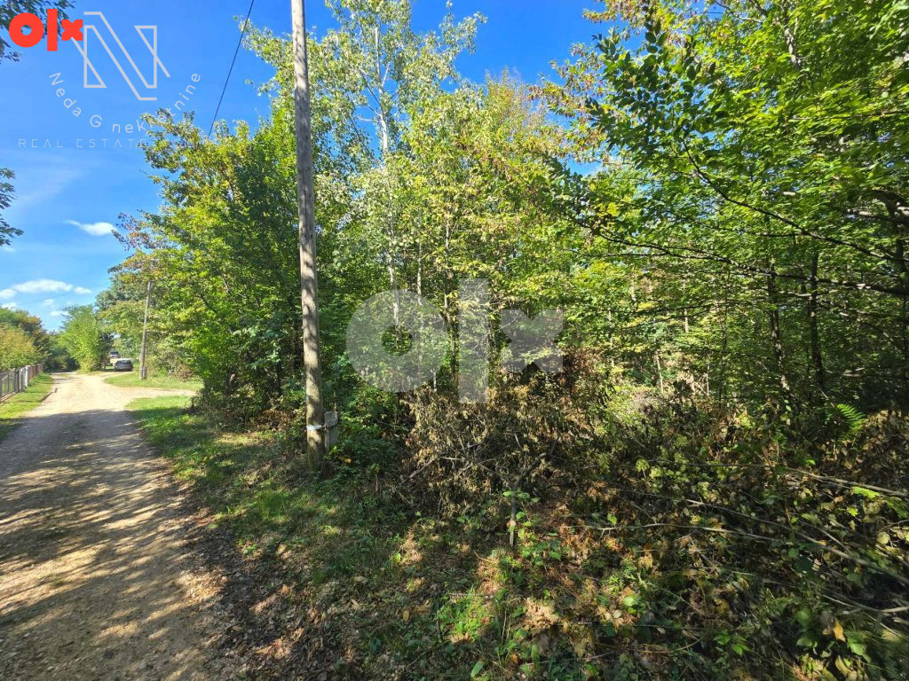 Priječani, prodaja placa od 3000m2 u prirodi 3
