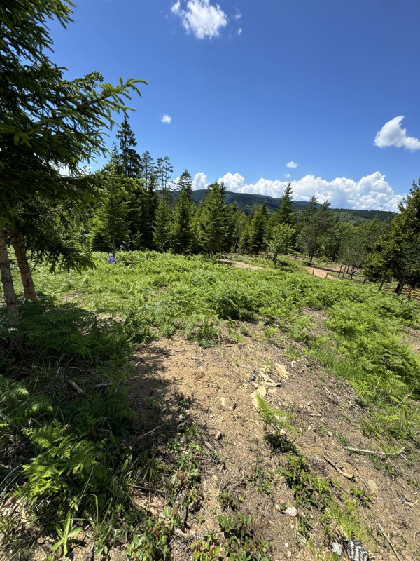 NN Nekretnine : Zemljište 1085m2 Nišići / Ilijaš