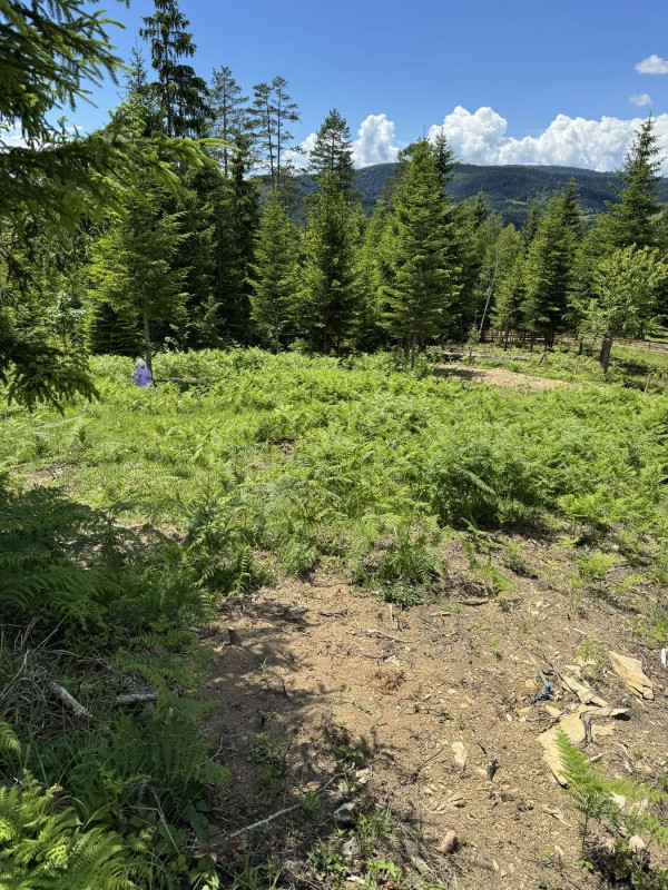 NN Nekretnine : Zemljište 1085m2 Nišići / Ilijaš 2